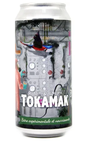 Tokamak