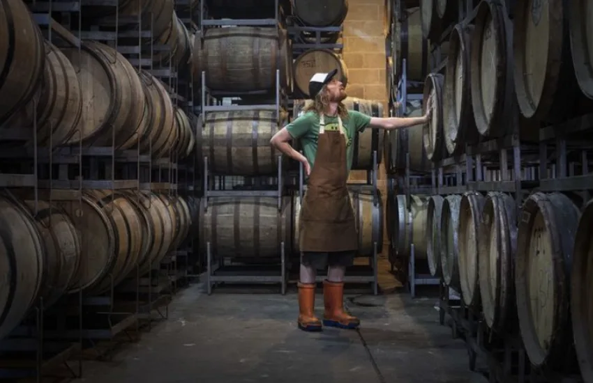 The wild beer achtergrond