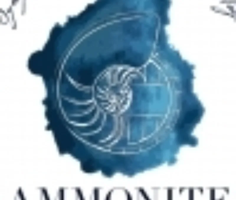 Ammonite