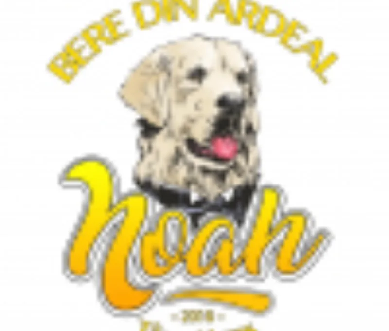 Noah Beer / Ignat Brouwerij