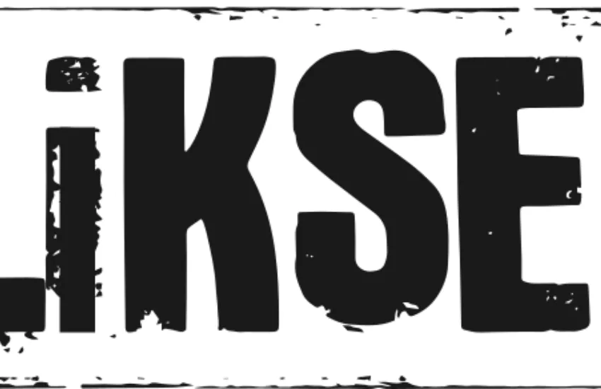 Logo bliksem zwart 01