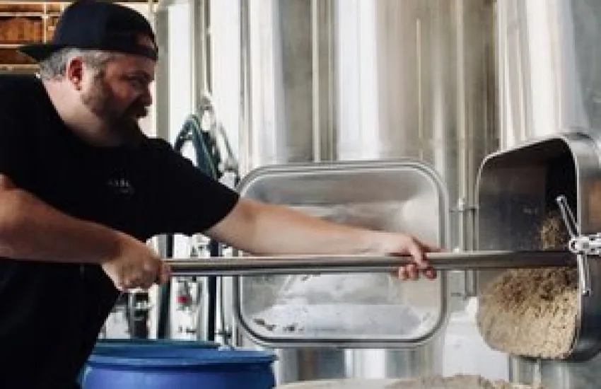Mason ale