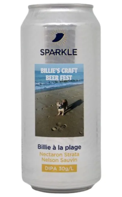 Billie à La Plage