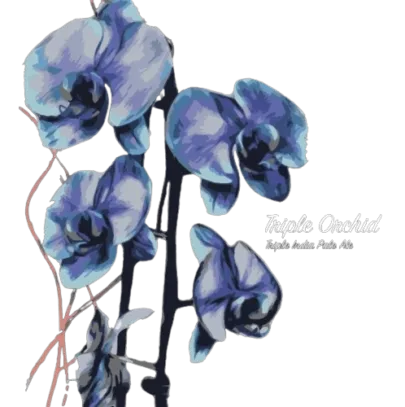 Triple Orchid