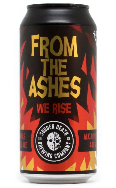 From the Ashes (we Rise)