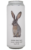 Extinction Is Forever!: Tehuantepec Jackrabbit