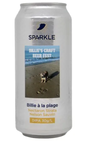 Billie à La Plage